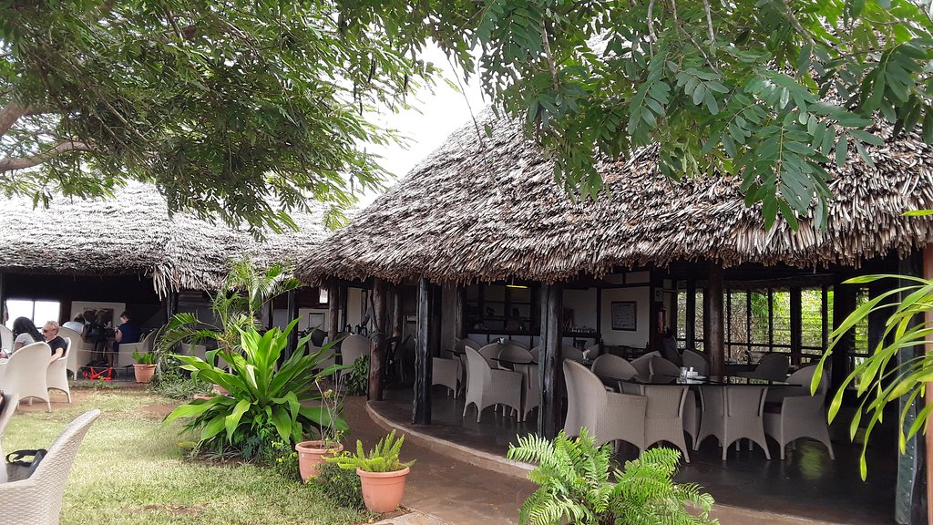 Lion Hill Safari Lodge