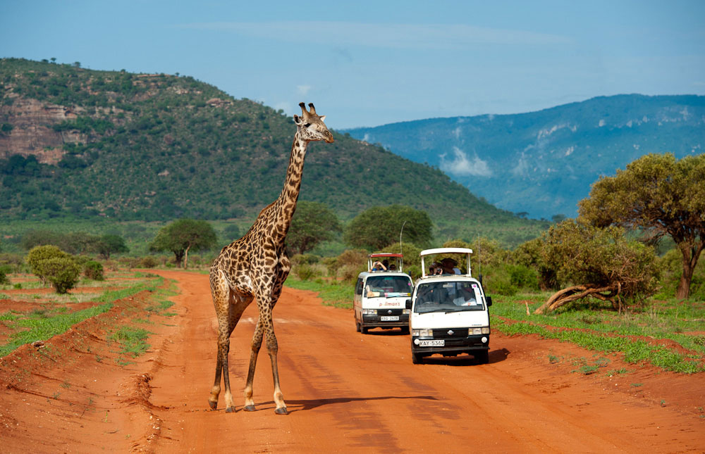 3 Days 2 Nights Tsavo East and West Package
