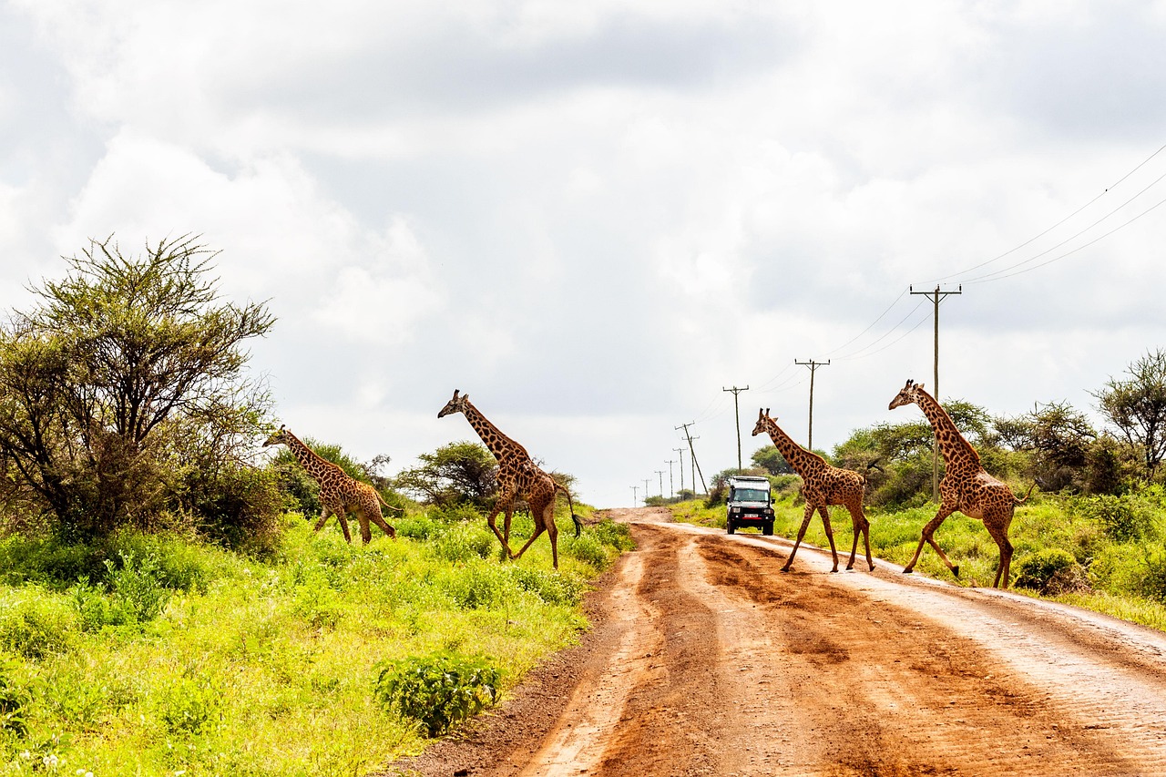 Amboseli